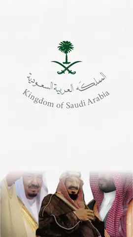 تصميم لليوم الوطني 95 حلالكم بدون حقوق #اكسبلورexplore #اليوم_الوطني_السعودي_95 #اليوم_الوطني #المملكه_العربيه_السعوديه🇸🇦 #viral 