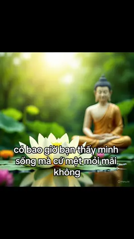 Những thứ đã làm cũng làm rồi, những điều cần nói cũng đã nói xong rồi, cố gắng đủ rồi mà không được nữa thì buông thôi, hết duyên rồi ở lại chỉ gây khổ đau, khó xử cho người. Nhẹ nhàng rời đi, rồi mọi thứ sẽ ổn cả thôi! Đừng buồn nữa bạn tôi ơi! Tôi luôn ở đây. Hiện diện và quay về ôm lấy chính mình. #samhoimoingay #phatphapvobien #phat #nhanqua #giaithoat 