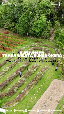 Assalamu’alaikum ncik tuan dan puan Hari ini mimin sedang berada di taman wisata okura, mau tau seperti apa bunga binga yanf ada di okura?