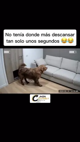 #boleroglam 