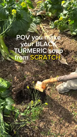Making our black turmeric soap from scratch 💙 #bodaciousbodybeads #fyp #turmericsoap #blackturmeric 
