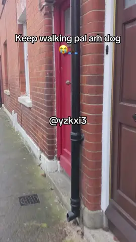#yzkxi3 #fy #meme 