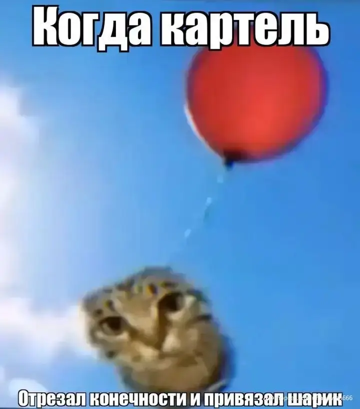 #кортель #шарик #картель 