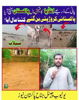 #flood_in_pakistan #flood_news #pakistan_news #viral_news 