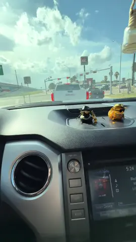 These are too cool #rubberducks #mexican #fyp #rubberducky 
