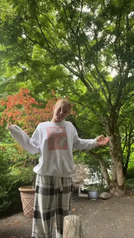 Top of the tree