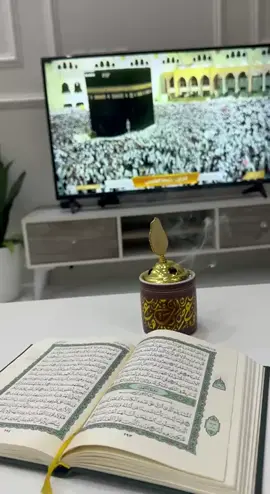#اكسبلور #اكسبلور #اكسبلور #اكسبلور #اكسبلور 
