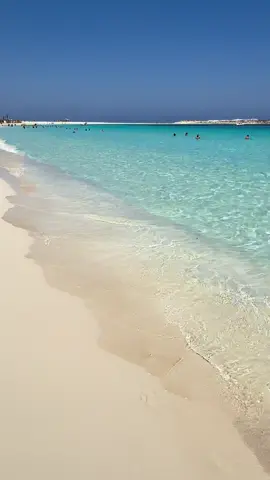 A Marsa Matruh l’acqua è davvero uno spettacolo: un turchese che sembra dipinto, trasparente e unico.  Un angolo di paradiso tutto da vivere. #MarsaMatruh #ParadiseBeach #TurquoiseSea #TravelDreams #SeaLovers