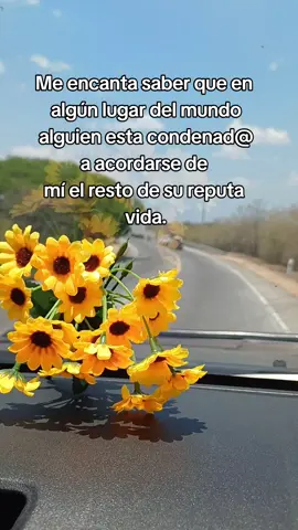 #viral #meencanta #noseataquen 