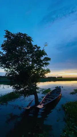 জীবন নৌকার মতো—কখনো ভেসে যায়, কখনো বাঁধা পড়ে থাকে। #nature #jmjahmed #jmjahmed1 #trending #villagelife 