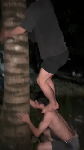 chỗ mn người ta kêu đi hái dưa bữa tối thì là saoo 😅😅