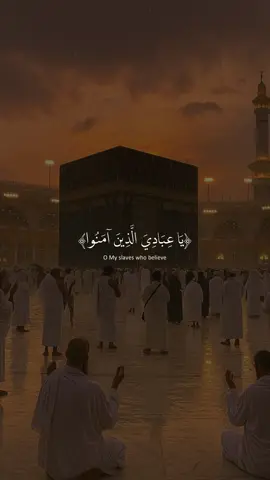ارح سمعك - محمد ديبيروف - صلوا على النبي محمد صلى الله عليه وسلم - #صلوا_على_رسول_الله #قران #محمد_ديبيروف #fyp 