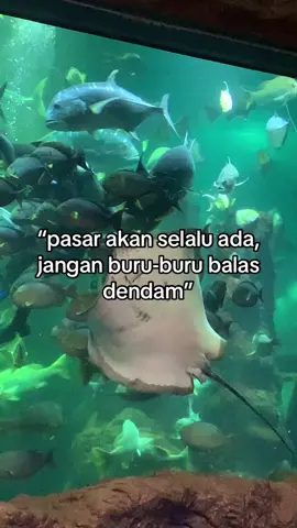 pahamkan sampai sini? #tradingforex #belajartrading #peluangbesar 