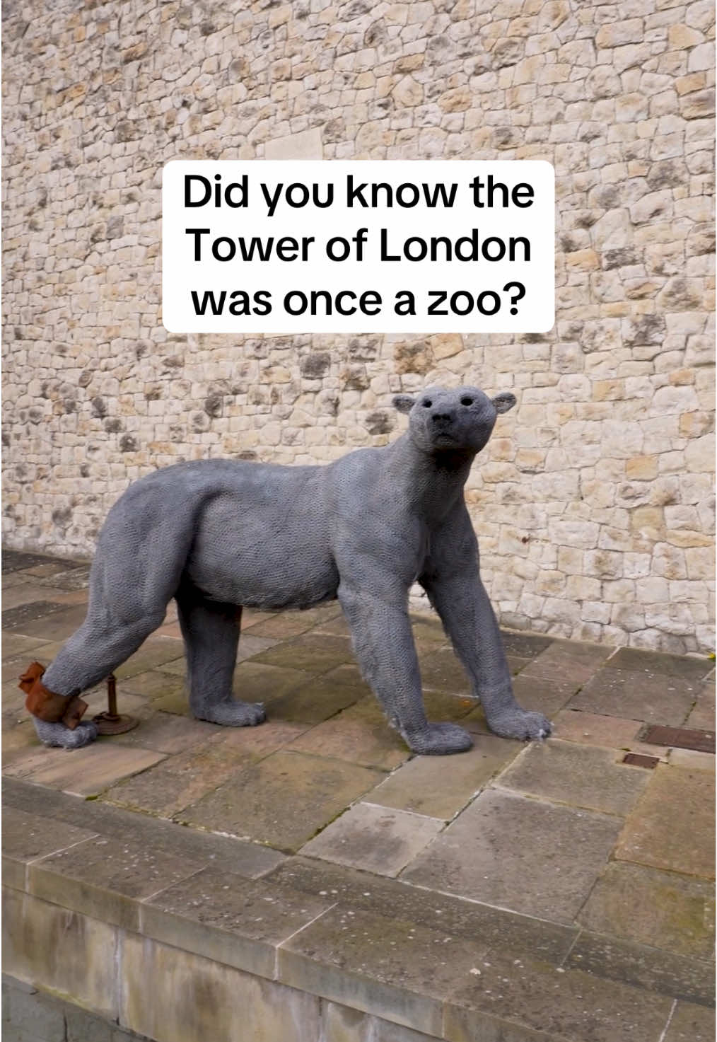 On 28 August 1835 the public visited the Tower of London's Royal Menagerie for the final time...🦁🏰   From the 1200s to 1835, the Tower of London housed a collection of exotic wild animals, never before seen in London, including lions and a polar bear given as gifts to kings and queens 👑 #toweroflondon #LearnOnTikTok #historytok #animals 