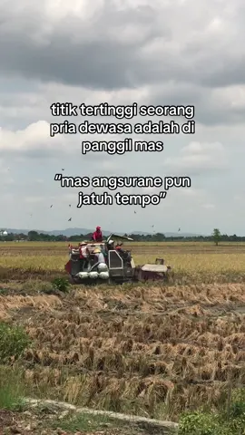 jatuh yo eben #bimo102 #combineharvester #gabahbalap🌾 #fyppppppppppppppppppppppp 