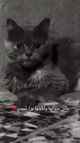 💔 #اكسبلورexplore #بغداد #عبارات 