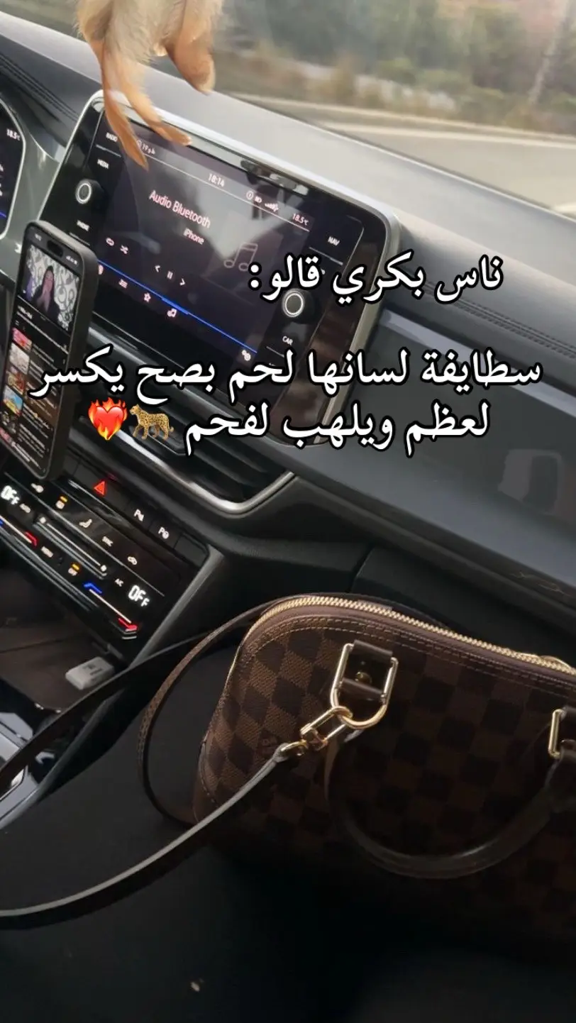 كاين منها؟؟جاوبوني #دير_جام_في_خاطر_هاذ_الفيديو❤✨ #بنت_سطيف_العالي_اخااااالي #شعب_الصيني_ماله_حل😂😂 #سطايفية____🔥19 