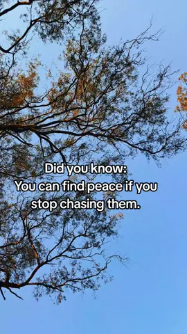 Episode 1 of finding peace.💯 #fyppppppppppppppppppppppp #fypシ #fypage 