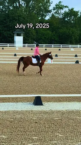 I finally found my sport!! Magnus has made showing again so much fun!! #dressage #dressagehorse #quarterhorse #gelding #chaseyourdreams 