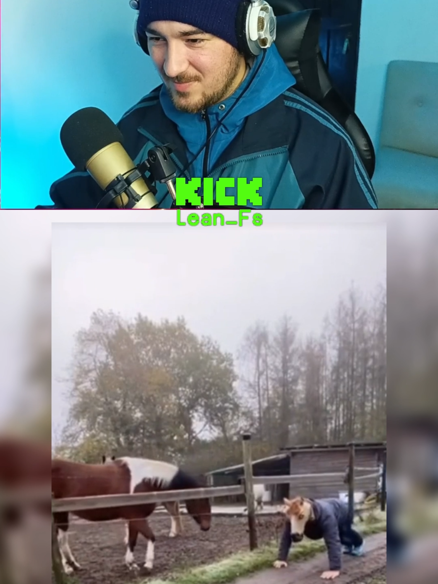 ese caballo quedo traumado