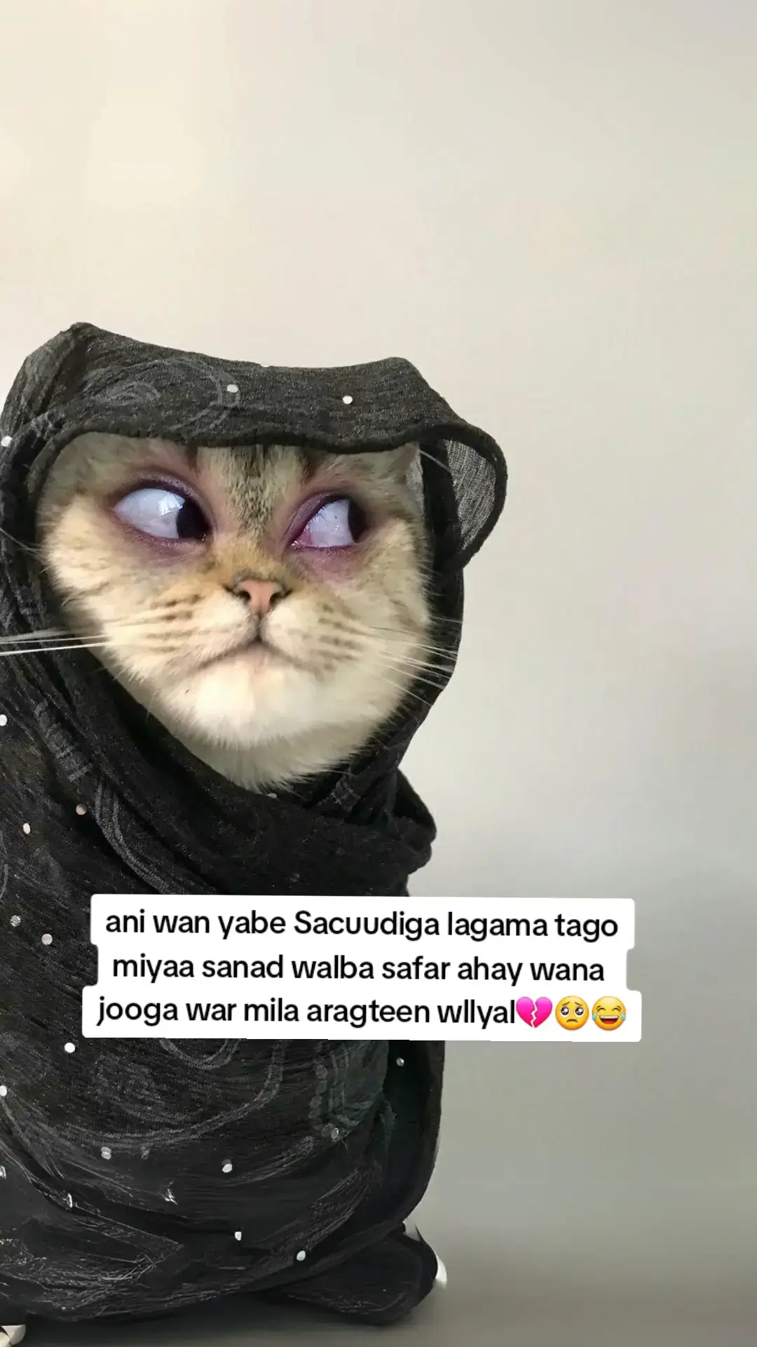 #tiktoksomalia #fyp #duceysan #jiddah_saudi_arabia @Duceysan🇸🇴🇸🇦 #viral_videos 