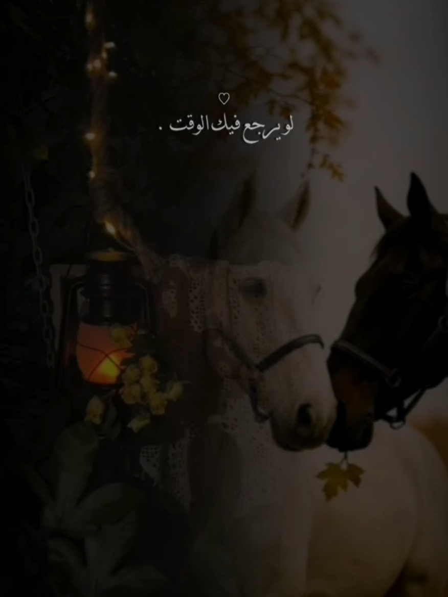 لو يرجع فيك الوقت بتحب اللي حبيته!🥹 #CapCut  #نعم  #ناصر_الوبير  #راشد_الفارس #fyp 