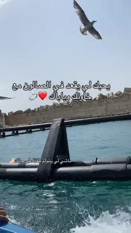 الراجل💪🫡#explore #fyyyyyyyyyyyyyyyy #algeria #foryou #الشعب_الصيني_ماله_حل😂😂 #fyp #viral 