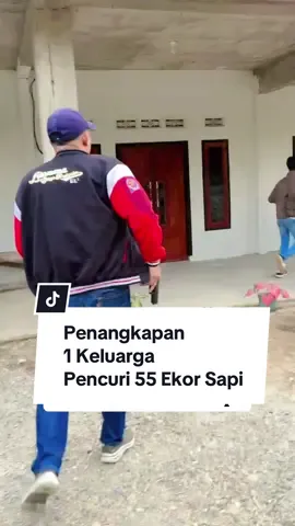 #fakesituation⚠️ Penangkapan Satu Keluarga Pencuri 55 Ekor Sapi— Mukomuko (28/8/2025) – Aksi pencurian sapi yang meresahkan warga Kabupaten Mukomuko, Bengkulu, akhirnya terbongkar. Polisi berhasil mengamankan lima orang pelaku yang ternyata masih satu keluarga. Mereka terdiri dari ayah, anak, hingga keponakan yang bersekongkol mencuri ternak warga. Para pelaku berinisial SU, MT, SM, SN, dan SW ditangkap di sejumlah lokasi berbeda. Saat proses penangkapan, seorang pelaku terpaksa dilumpuhkan dengan tembakan karena berusaha melawan petugas. Komplotan ini diketahui telah beraksi selama beberapa bulan terakhir dengan modus berbagi peran. Ada yang bertugas mengintai, ada pula yang mengeksekusi pencurian pada malam hari. Sapi hasil curian kemudian dijual dalam kondisi hidup ke berbagai daerah. Dari hasil penyelidikan, setidaknya 55 ekor sapi dengan nilai kerugian mencapai Rp300 juta telah digasak komplotan tersebut. Uang hasil penjualan digunakan untuk memperbaiki rumah hingga dibagikan di antara para pelaku. Dalam pengungkapan kasus ini, polisi juga menyita barang bukti berupa lima ekor sapi yang belum sempat dijual serta satu unit mobil pikap yang dipakai untuk mengangkut ternak. Kasus pencurian ini menjadi salah satu kasus terbesar di Mukomuko dalam kurun waktu terakhir, mengingat jumlah ternak yang dicuri mencapai puluhan ekor dan melibatkan jaringan keluarga yang rapi dalam menjalankan aksinya. (Cik)