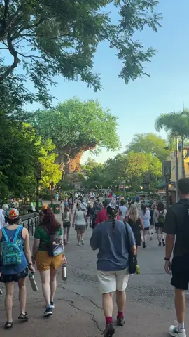 #disneyworld 