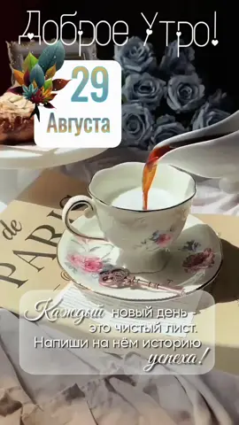 #29августа #пятница #новинки #доброеутро #новыйдень.