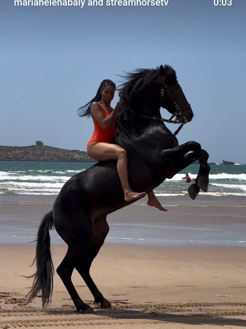 The Black Stallion, My Totem Animal, My Soulmate ✨🖤✨ In Love with Falkhir 🥰😍🥰 @horselovers_essaouira Travel agency @marta_essaouirahorseparadise @reda_essaouirahorseparadise 👌🏾🌟 🎶 @teyanataylor X @kerrywashington #escaperoom 🔥 🥰🎥 @mariahelenabaly  #stallion #horse #horses #horselove 