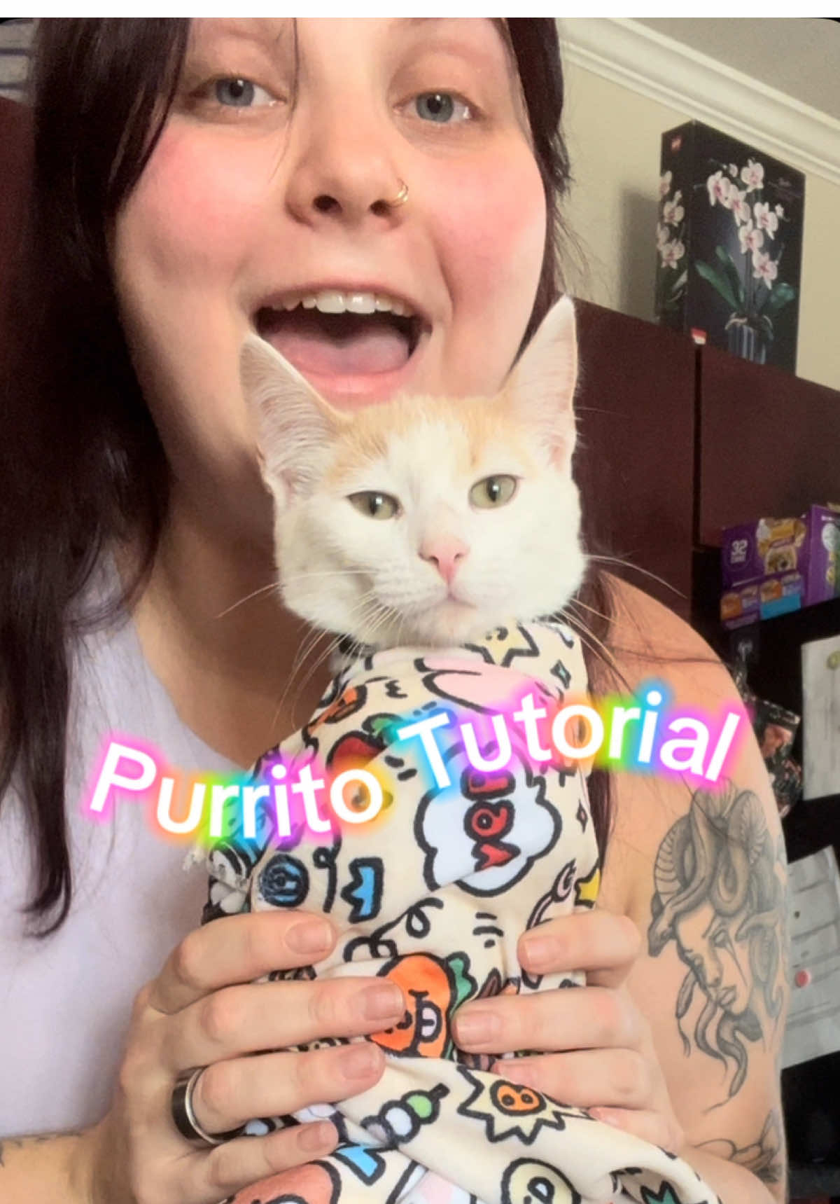Unedited so you can see what it’s like to actually wrap up your cat in one of these! I was so skeptical I can’t even lie, but I am so pleasantly surprised with how well this works! It’s machine washable and such a good way to keep you and your babies safe while grooming them! #cat #cats #tiktokshop #groomingtips #groominghacks #catgrooming 