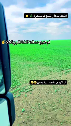 #ام-هبج#الشكرية#الترند_الجديد#سودانيز_تيك_توك_مشاهير_السودان#الشعب_الصيني_ماله_حل😂😂 
