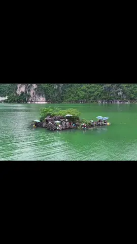 Điểm câu tuyệt vời #ketnoi #damme #câucá #thinhhanh 