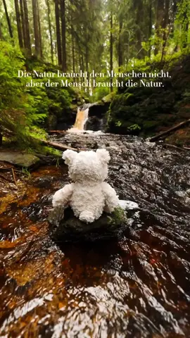 Die Natur schenkt uns Ruhe, Kraft und Schönheit. Manchmal brauchen wir nur einen Moment im Wald, um wieder zu uns selbst zu finden. 🌲💚 Lasst uns die Erde bewahren – sie ist nicht unser Besitz, sondern unsere Leihgabe an die Zukunft.🌍✨ #Natur #Frieden #Achtsamkeit #Wald #NatureVibes 