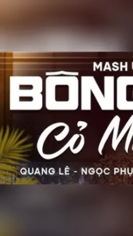 Mash up. Quang Lê - Ngọc Phụng.  #quangle #ngocphung #nhactuinghe 