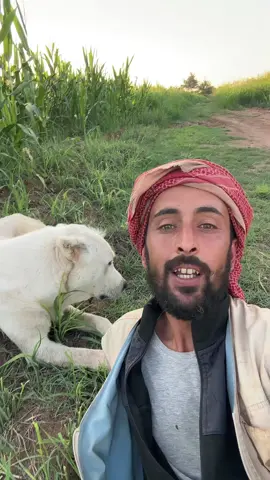 #احمدالعنزي 
