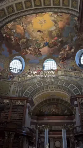 Vienna is perfect for the moody fall/dark academia energy #vienna #fallaesthetic #viennacity #darkacademia 