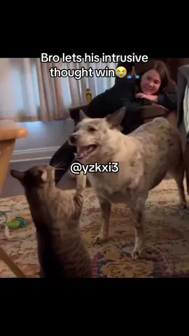#yzkxi3 #fy #meme 