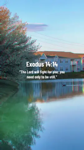 Reminder for today 🤍✨ BE STILL #scripture #biblestudy #bibleverse 