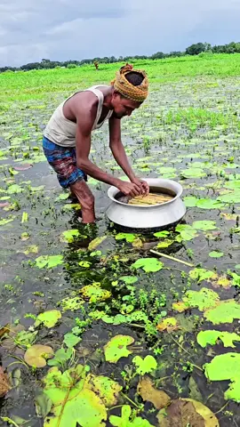 #রায়পুরা নরসিংদী নতুন পানির মাছ #trending #vairalনরসিংদী #foryoupageofficiall #রিকাবদার 