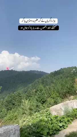 سب کچھ بھی نہیں ملتا اس زندگی میں کچھ چیزیں مسکرا کر چھوڑ دینی چاہیئے💔🥲