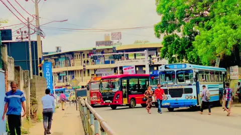 සරසියෙන් වැදුනු කොලිටිම ඩිසයින් ❤️💚💛 