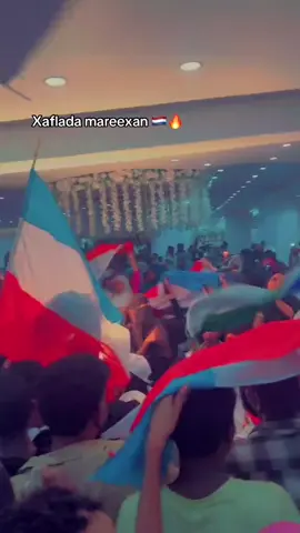 Hambalyo mareexan 🇳🇱#cameradaqarsoon📷 #kismayotiktok #foryoupage #viral_videos 