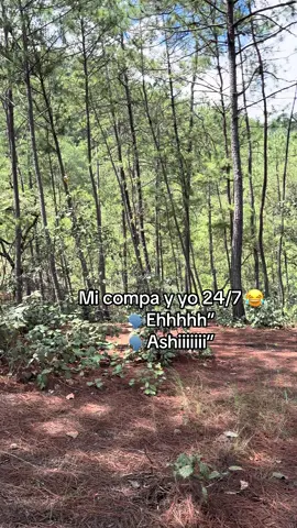 🤣