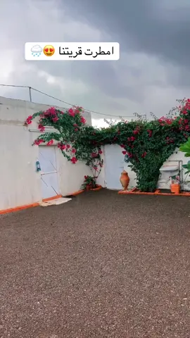 اجمل منظر 