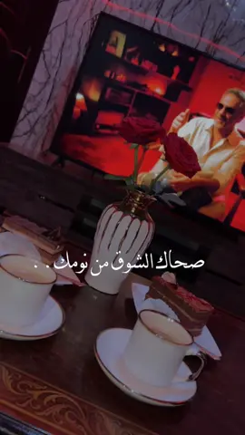#تصويري#ذوق🤍🕊🦋 #السعودية🇸🇦 #سوريا🇸🇾 #تحياتي_للجميع 