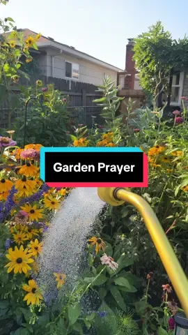 #garden #prayer #backyardgarden #anywhohaveagoodday 