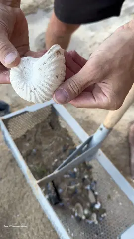 #BeachCleanup #TreasureHunter #FromTrashToTreasure #BeachCleanup    