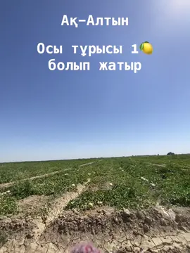 #рекомендации #реки #fyr #fy #elbruso 